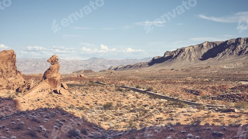 Preview: Panoramic view of Valley of Fire, Nevada, USA.