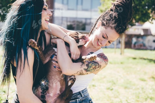 Preview: Pit bull terrier licking young women in urban park