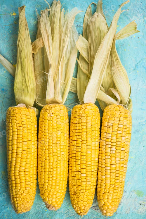Preview: Colorful whole corn cob on blue table