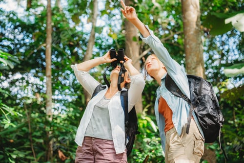Preview: group of people family enjoy camping outdoor activity with nature, camp site living in happy time