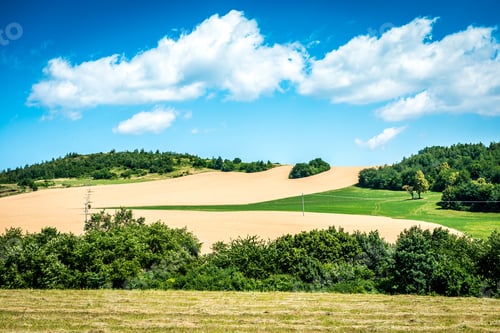 Preview: Yellow-green field
