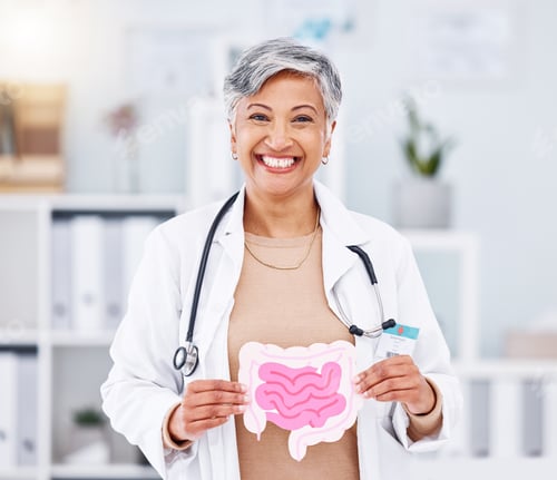 Preview: Portrait, doctor and mature woman with intestine model in hospital clinic. Face, gastroenterology a