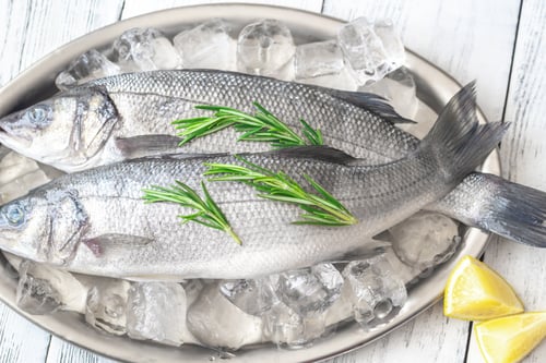 Preview: Fresh sea bass fish