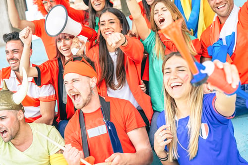 Preview: Football supporter fans watching international soccer match