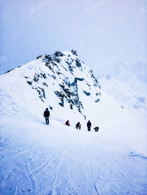 Aperçu: Snow explorers.