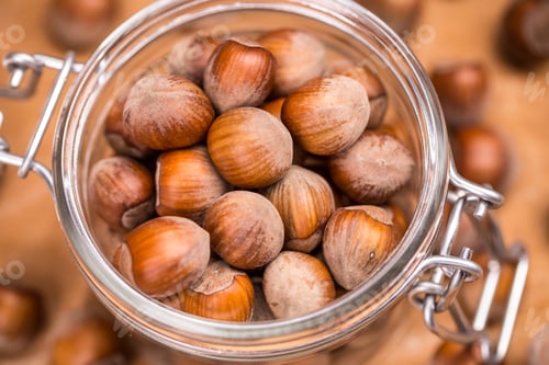 Preview: Hazelnuts