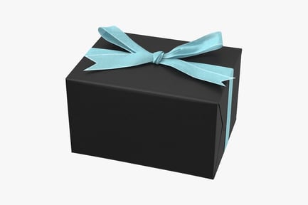 Preview: Wrapped Gift Box with Light Blue Ribbon
