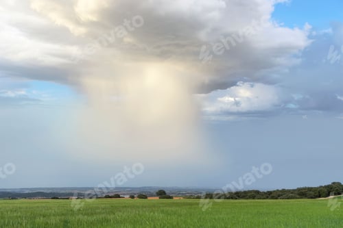 Preview: Spectacular landscape of the green field with a curtain of rain coming out of the storm cloud.