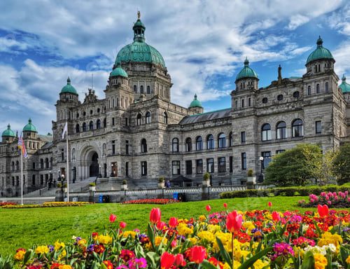 Vista previa: Beautiful shot of the British Columbia Parliament Building and a front garden with tulip flowers