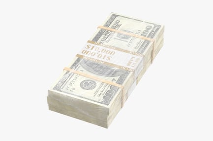 Preview: Stacks of Hundred Dollar Bills Wrapped