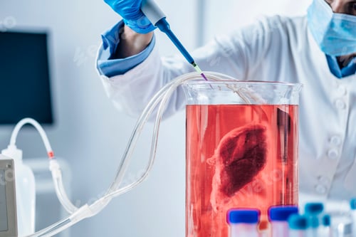 Preview: Lab-Grown Meat or in Vitro Meat.