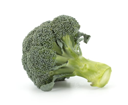 Preview: Broccoli vegetable isolated on white background
