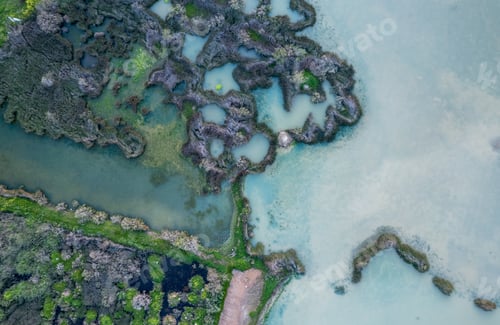 Preview: Drone aerial top view of details a lake and bushes. Wildlife Bird shelter.
