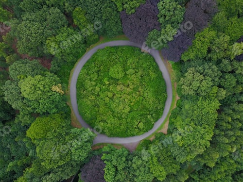Preview: Roundabout in a forest drone shot