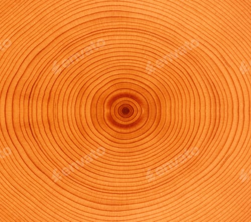 Preview: Wood Background