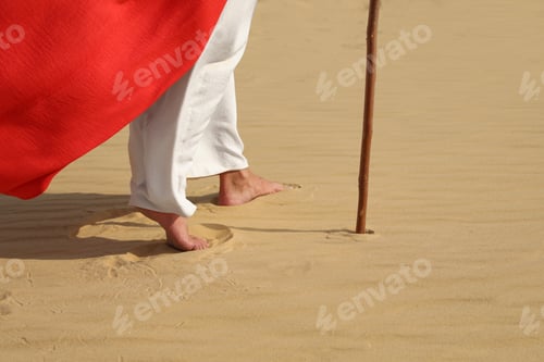 Preview: Jesus Christ walking in desert, closeup view