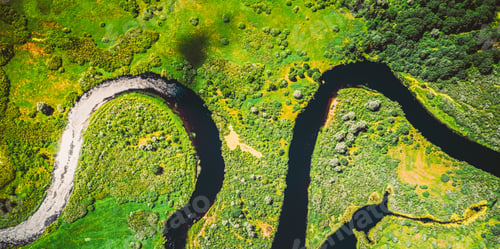 Preview: Aerial View Green Forest Woods And River Landscape In Sunny Spring Summer Day. Top View Of Beautiful