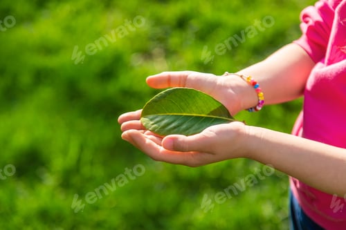 Preview: Children take care of nature tree in their hands. Selective focus.