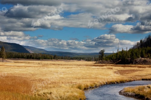 Preview: Autumn meadow