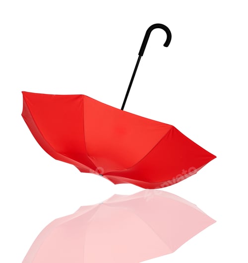 Preview: Studio Shot of Classic Green Umbrella Isolated on White