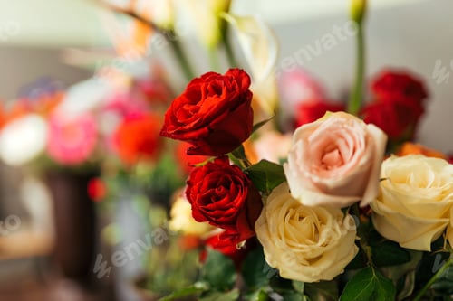 Preview: Fresh roses at the florist shop, copy space.