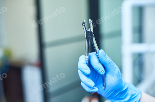 Preview: Hand in medical glove holding Dental forceps.
