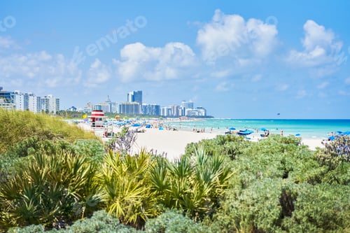 Preview: Picture from Miami of South Beach with perfect water