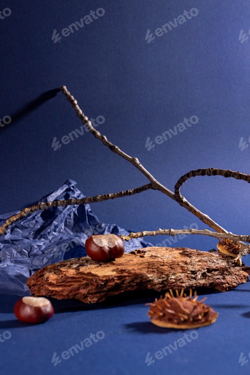 Preview: Natural background podium for cosmetic products created from wood, bark, branches
