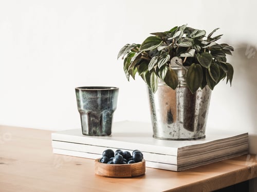 Visualização: Natureza morta em casa feita de vários itens decorativos