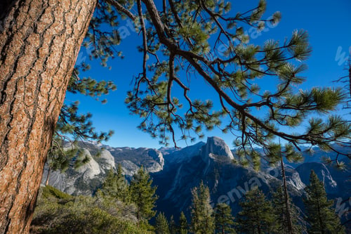 Preview: Yosemite