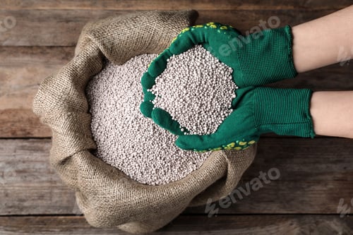Preview: Woman with handful of fertilizer over bag on wooden table, top view. Horticulture and gardening