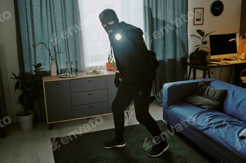 Preview: Thief in Spacious Living room