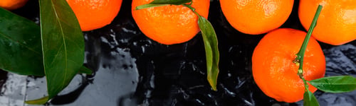 Preview: Banner of Tangerines background. Delicious and beautiful Citrus.