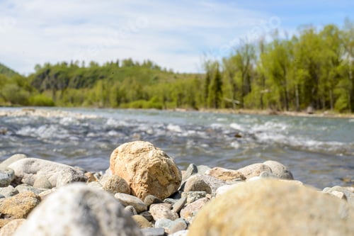 Preview: nature
