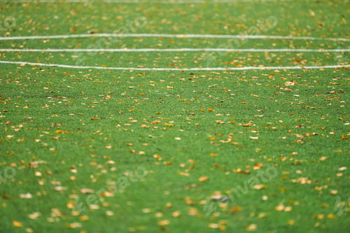 Preview: Artificial grass, sports field cover