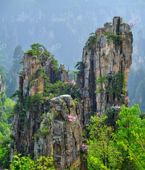 Preview: Zhangjiajie mountains, China