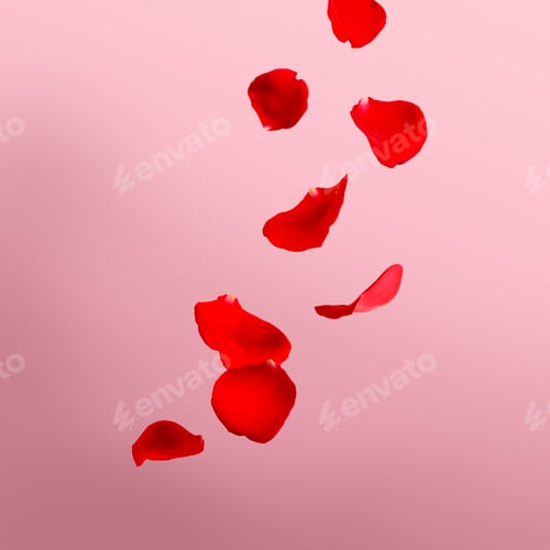 Preview: Beautiful red rose petals falling on light pink background