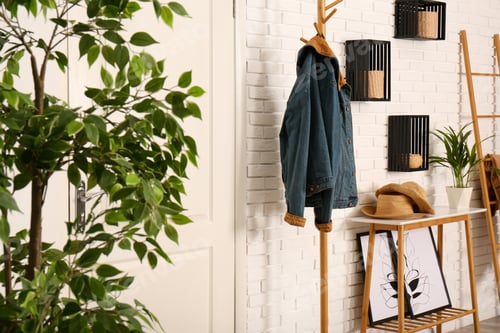 Preview: Stylish hallway interior with hanger stand and table