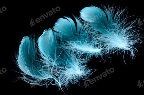 Preview: blue bright textured and lightweight feathers isolated on black