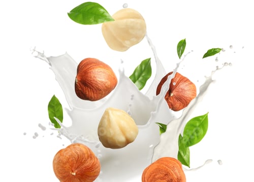 Preview: Nut milk splash with hazelnuts and green leaves in air on white background