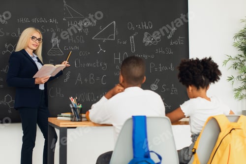Preview: A female teacher teaches schoolchildren at the blackboard in the classroom.