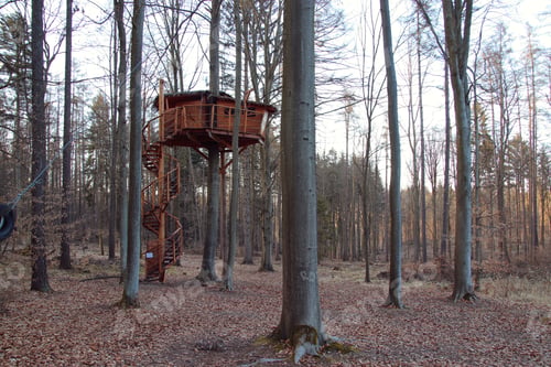 Preview: A wooden treehouse in the forest