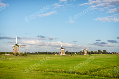 Preview: Three windmills in a spring landscape in Holland
