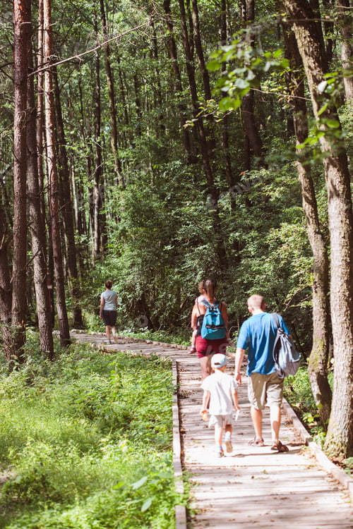 Preview: Family going a path in forest