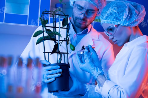 Preview: Scientists at botanical laboratory during work