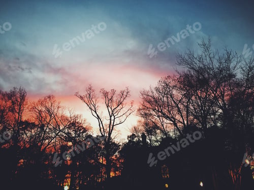 Preview: Beautiful colorful evening sky behind the trees