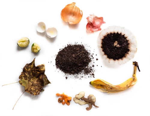 Preview: food