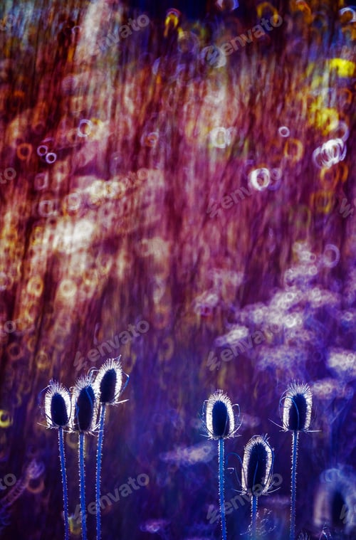 Preview: Grass on background of glowing circle