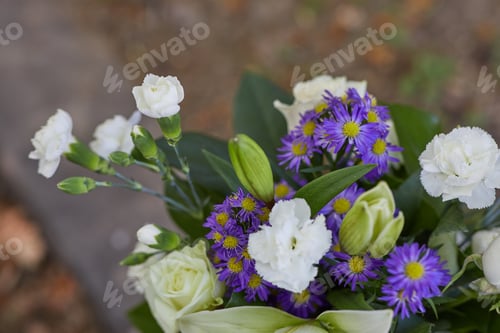 Preview: Fresh white yellow and purple flowers at the Garden