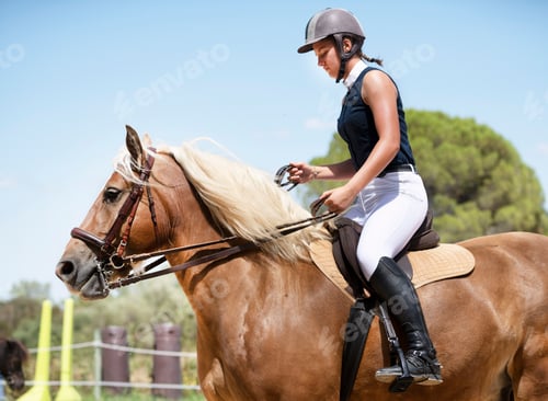 Preview: riding girl and horse